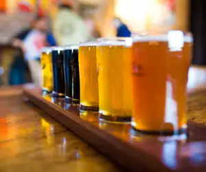 beer flight